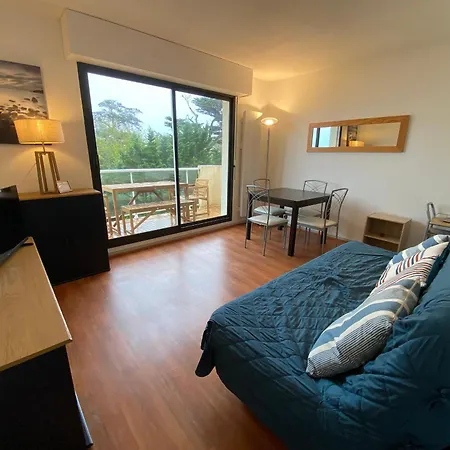 Apartment T2 A Arcachon, Acces Direct Plage, Parking Prive - Fr-1-374-35 Arcachon
