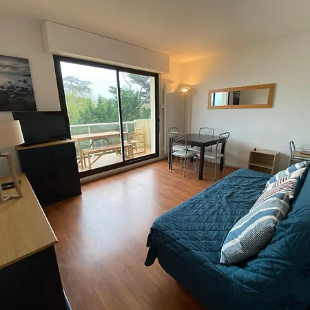Apartment T2 A Arcachon, Acces Direct Plage, Parking Prive - Fr-1-374-35 Arcachon
